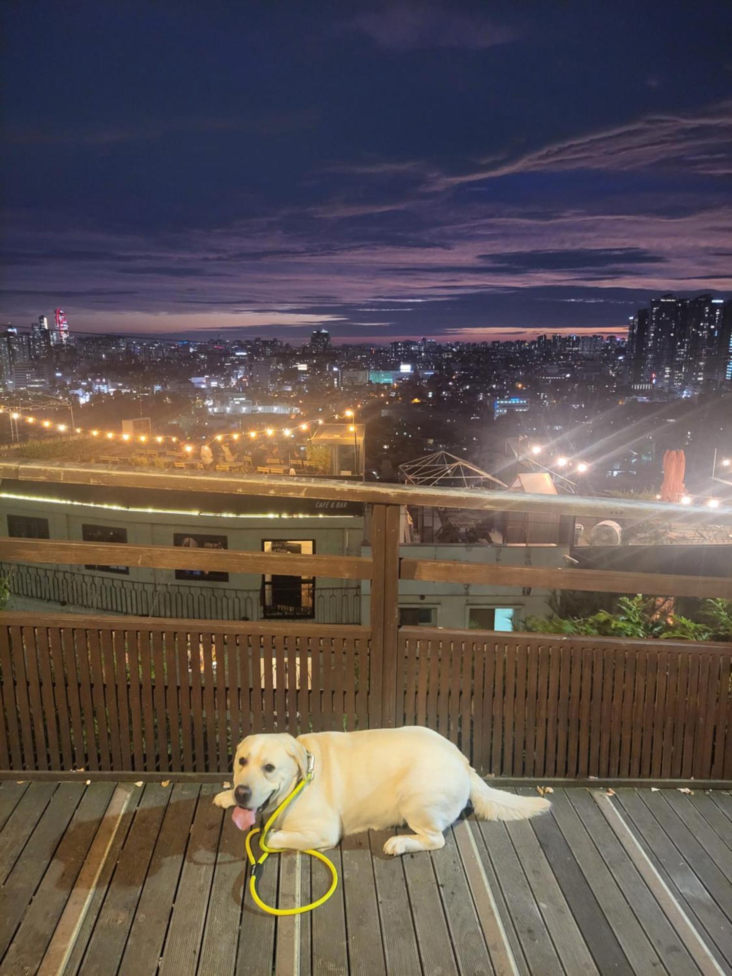Newly Renovated 2 Bedroom Apartment #7 Seoul Bagian luar foto
