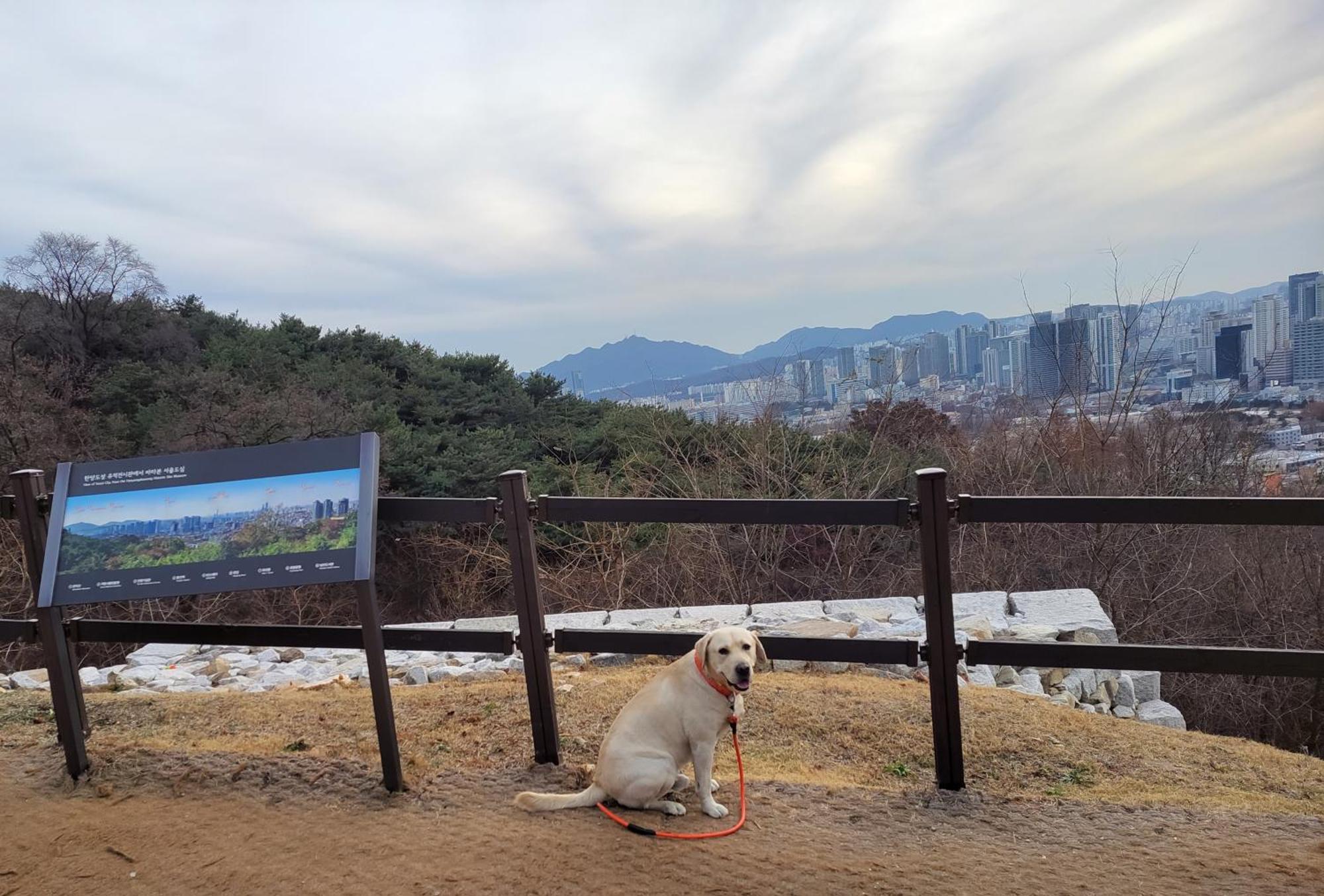 Newly Renovated 2 Bedroom Apartment #7 Seoul Bagian luar foto